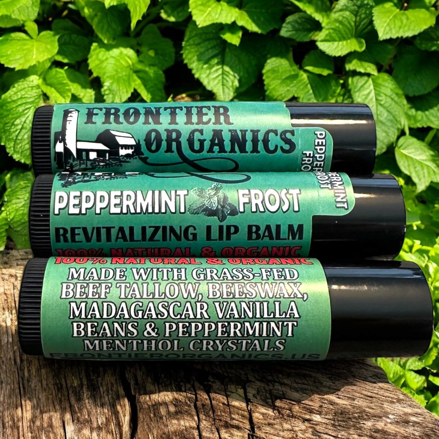 Peppermint Frost - Revitalizing Lip Balm